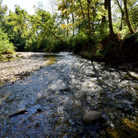 A River Past, A River Future