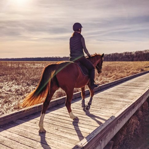 Koteewi Stable & Trails by Ben’s Ranch at Strawtown Koteewi Park