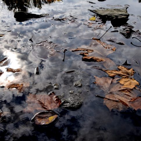 The Influence of the White River for a Better Tomorrow