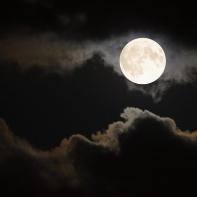 Moonlight Egg Hunt