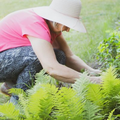 Garden and Grow Workshops