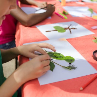 Create & Decorate Workshop