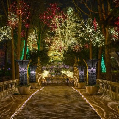 Winterlights