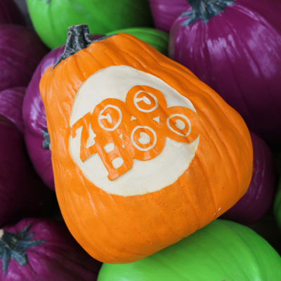 Halloween Celebration Day