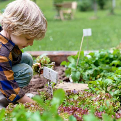 Little Gardeners: Dig it!